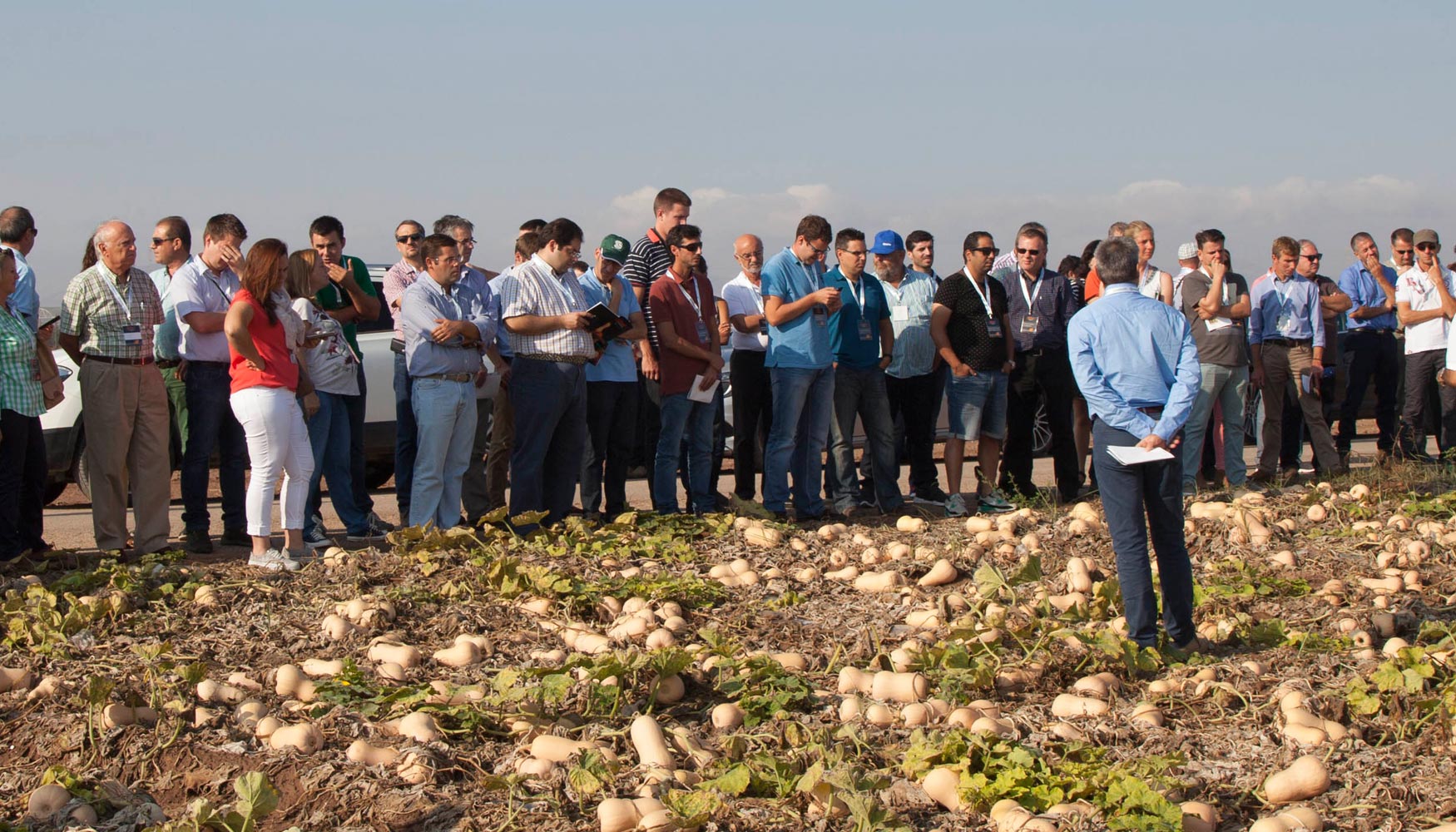 Un centenar de profesionales visitaron las plantaciones de calabaza