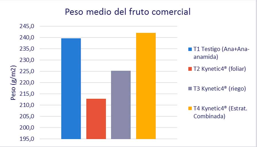 Grfico 3. Peso medio del fruto comercial