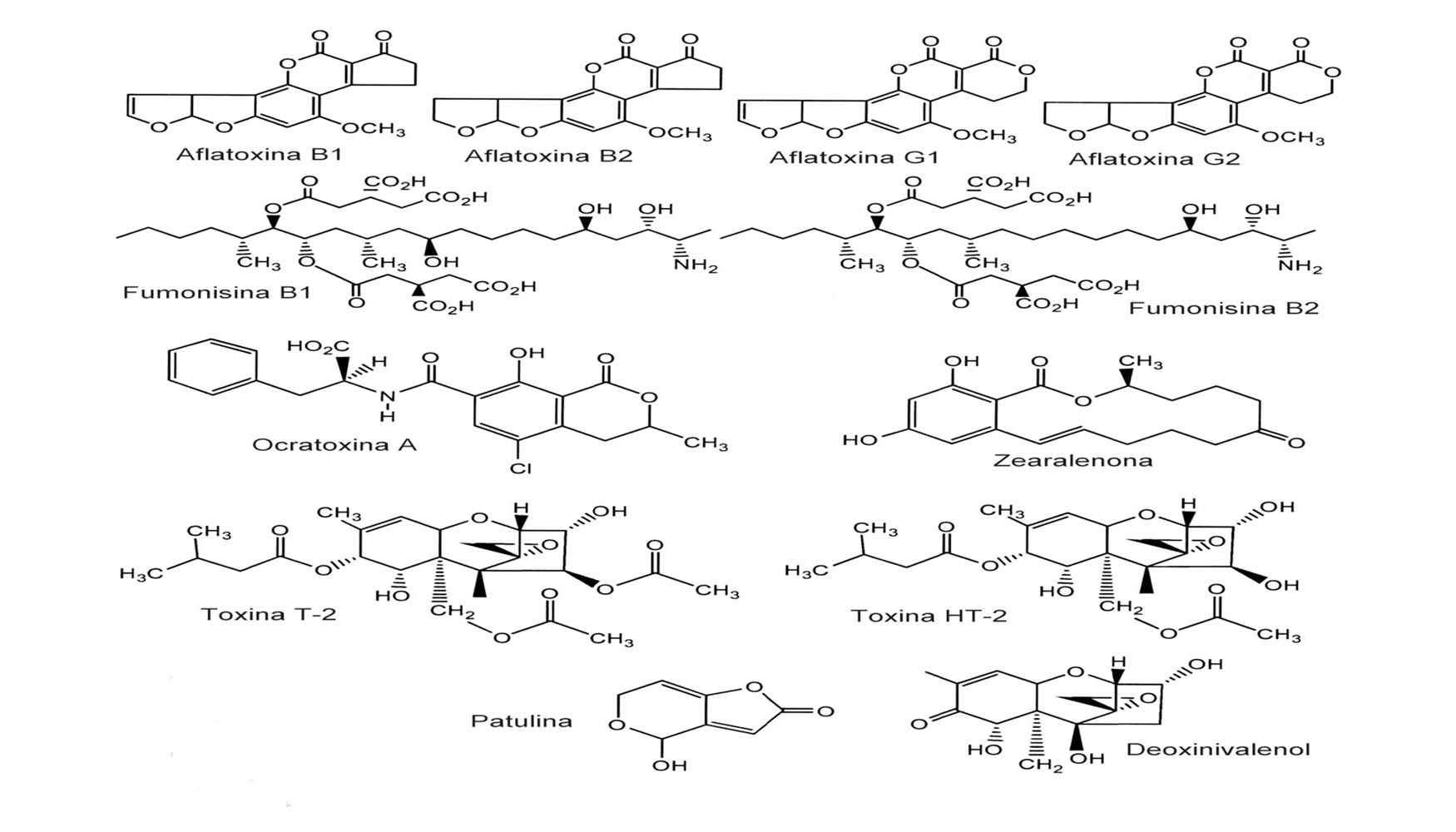 Figura 2. Estructura qumica de las principales micotoxinas