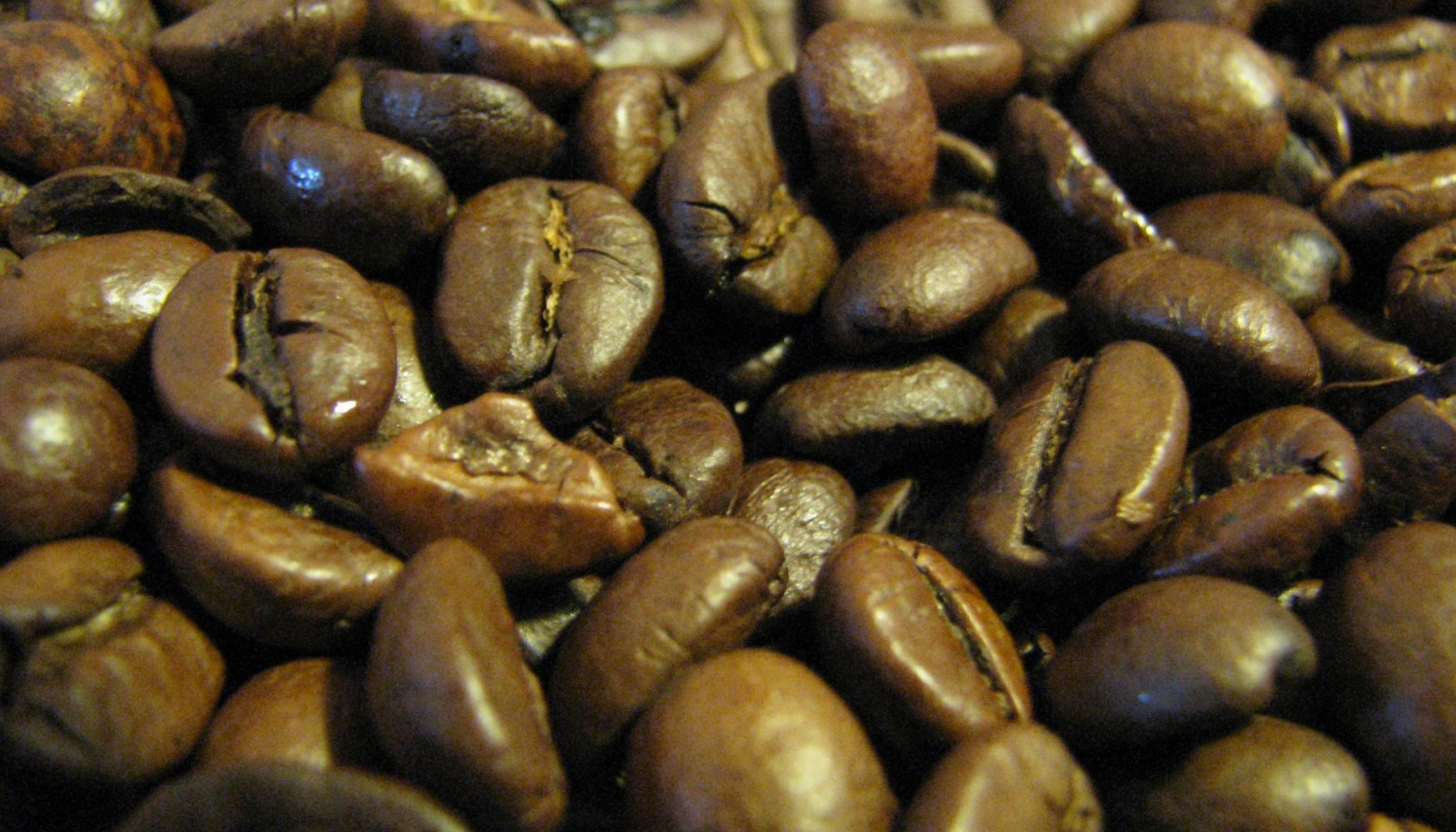 El estudio confirma la presencia de fumonisinas, aflatoxinas, tricotecenos y micotoxinas emergentes en el caf