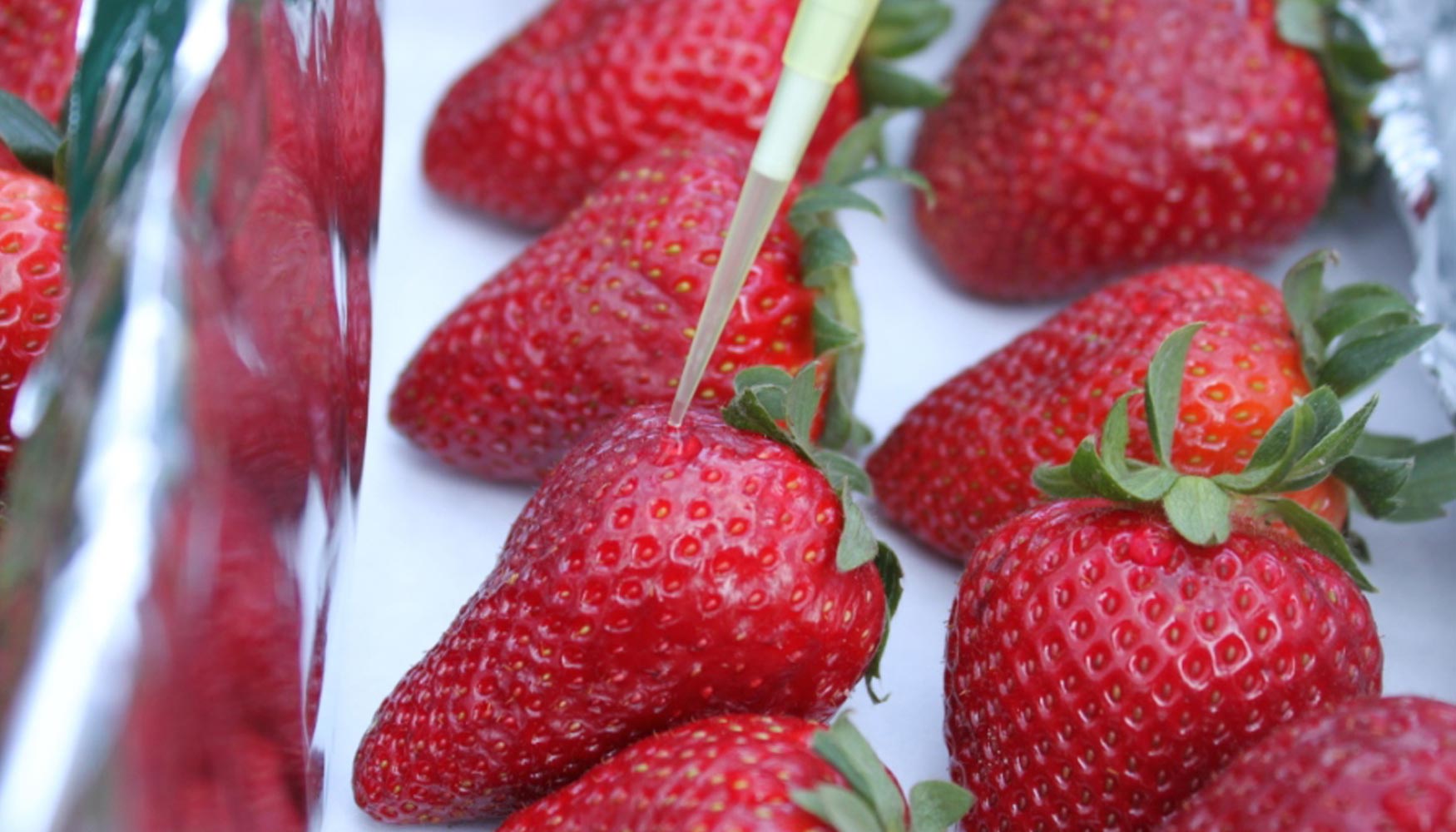 Oxyion alarga ms del 50% la vida comercial de fresas y frutos rojos