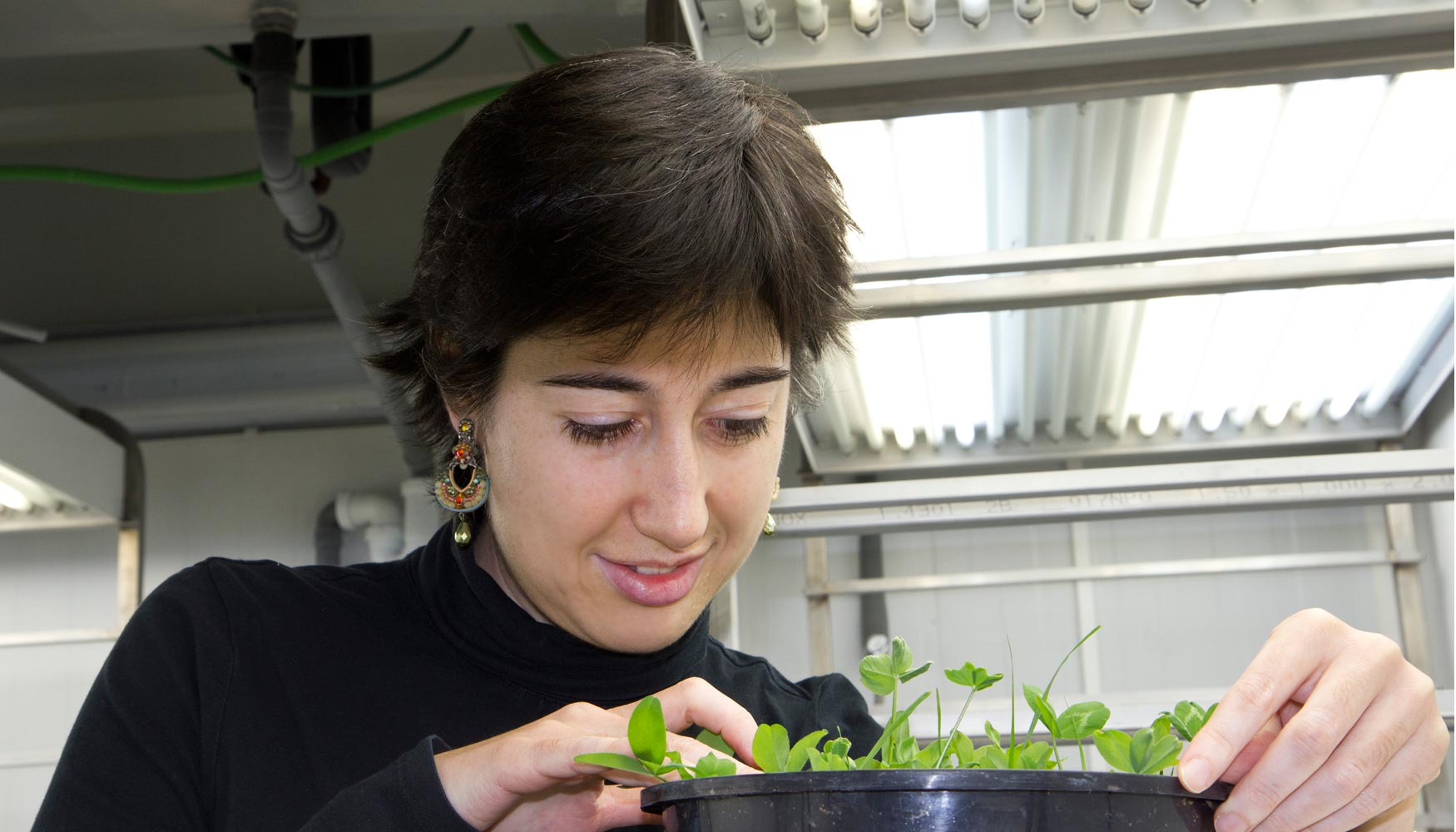 La investigadora Usue Prez junto a una de las cmaras de crecimiento de plantas en condiciones controladas del laboratorio...