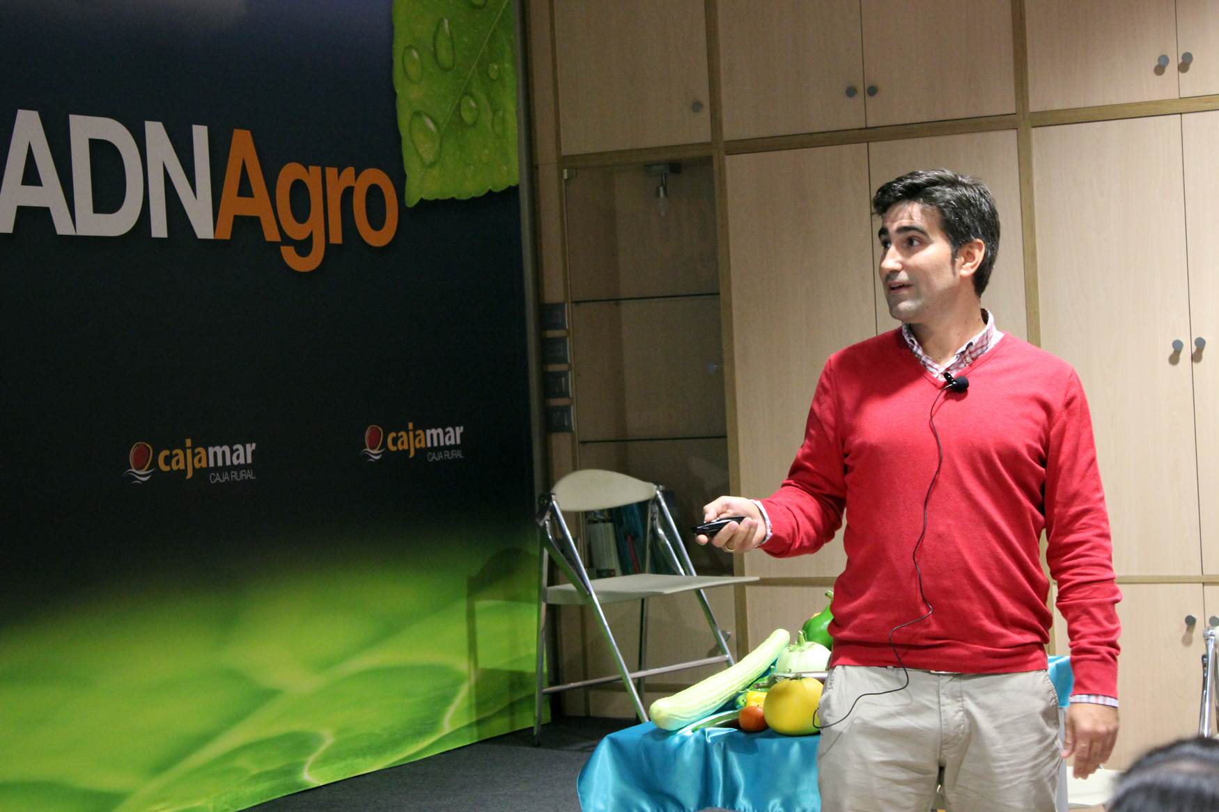 Francisco Alonso Ramrez, Hortimax Almera