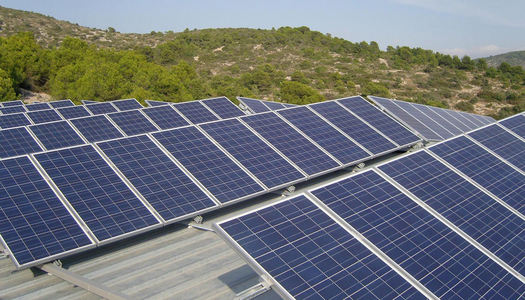Los paneles fotovoltaicos ya se aplican en muchas empresas del sector agroindustrial como forma eficiente de generacin de energa...