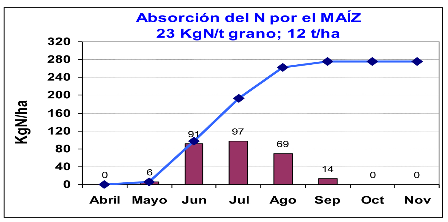 Curva tipo de absorcin o extraccin de Nitrgeno (N) por el cultivo de maz a lo largo de los meses necesarios para su desarrollo completo...