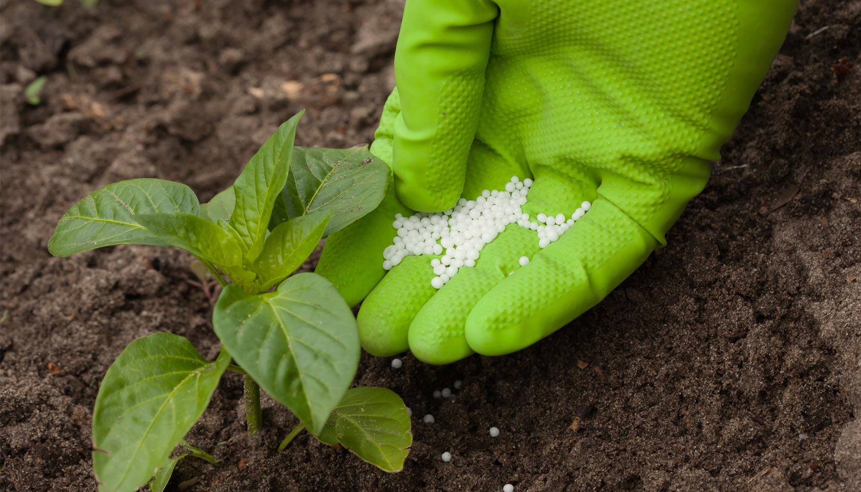 Análisis del papel de los fertilizantes minerales en una agricultura  sostenible a través de la huella de carbono - Grandes cultivos