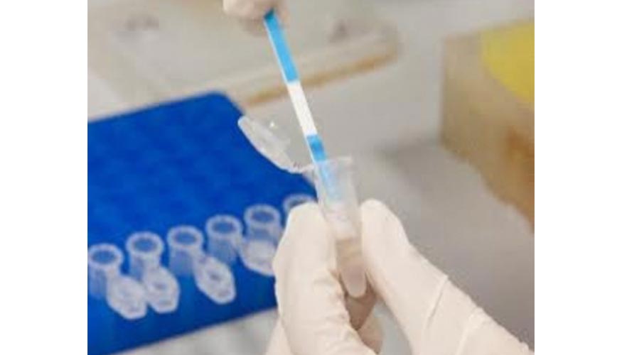 Biomedal ha desarrollado una tecnolog�a de an�lisis de alimentos para identificar de forma r�pida y fiable si un producto es apto o no para cel�acos...
