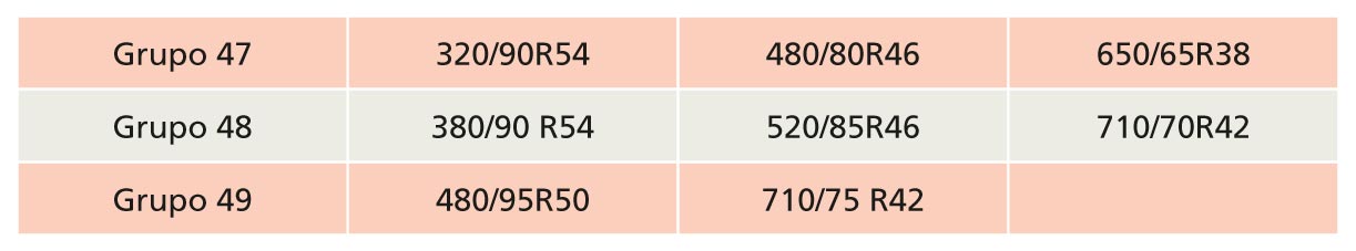 Tabla 2: Principales neumticos ofertados en el segmento de la alta potencia (grupos 47, 48 y 49)