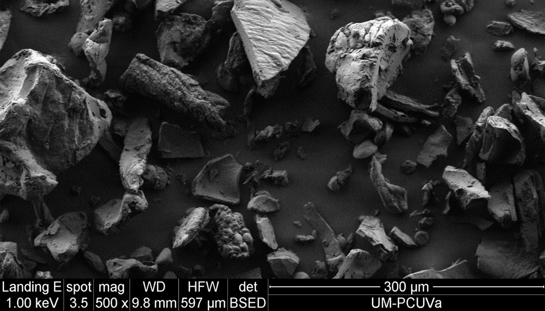 Imagen de microscopio electr�nico de barrido ambiental de ma�z extruido