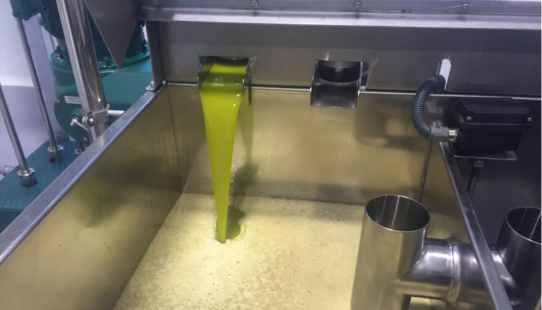 Los datos suponen una mejora considerable respecto a la anterior campaa, ya que casi se dobla el aceite de oliva virgen extra certificado...
