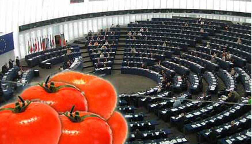 Se ha solicitado a la UE que aclare cmo se va a controlar el origen de los tomates...