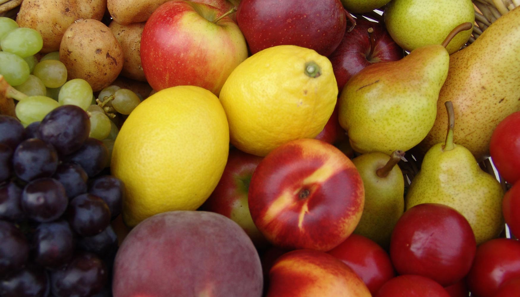 De la Unin Europea, Francia es el primer proveedor de frutas y hortalizas de Espaa, con 255 millones de euros