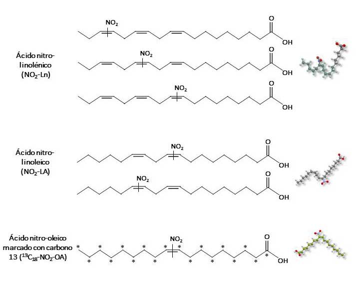 Figura 1. Estndares de diferentes NO2-FAs sintetizados mediante nitroselenacin