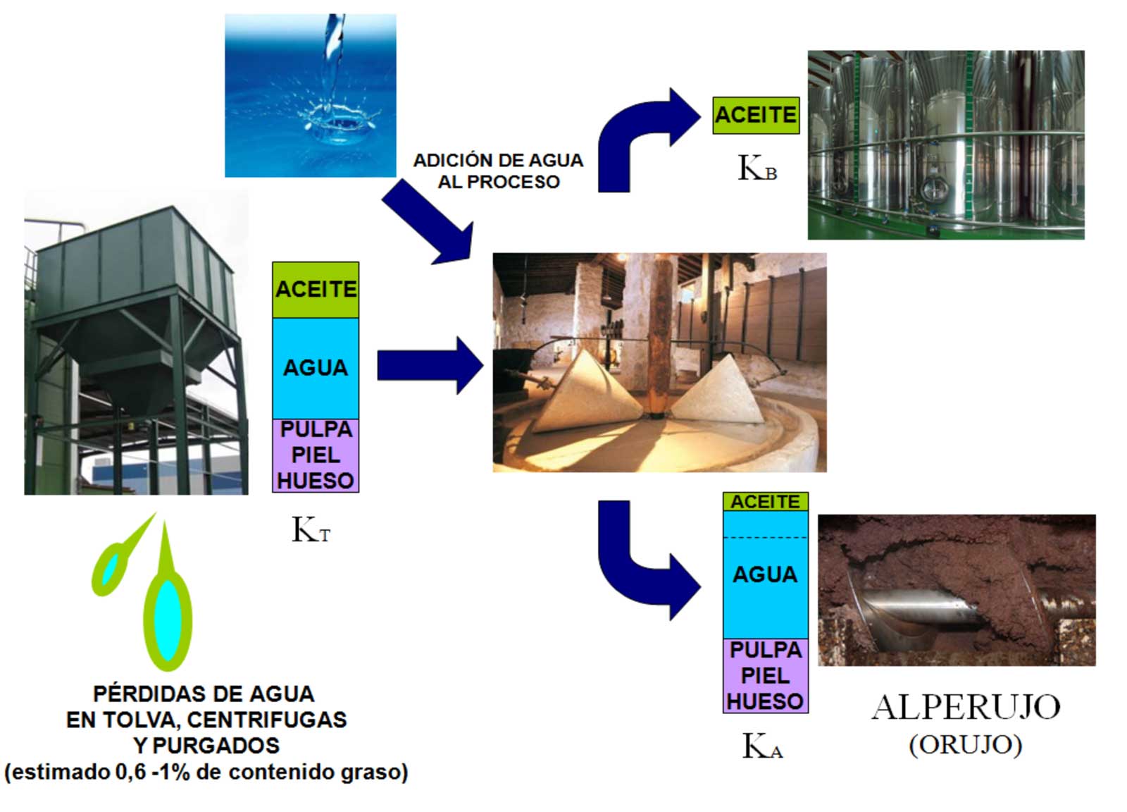 Figura 2. Diagrama de flujos en el proceso de elaboracin de aceite de oliva virgen...