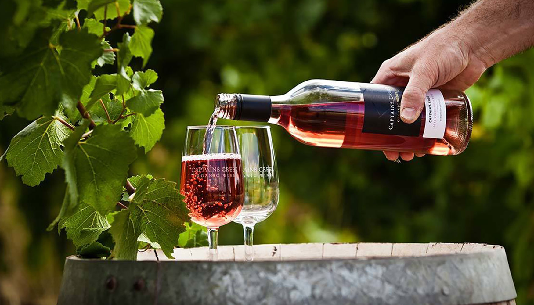 Australia es uno de los pases ms amantes del vino a nivel mundial. Foto: VisitMelbourne.com