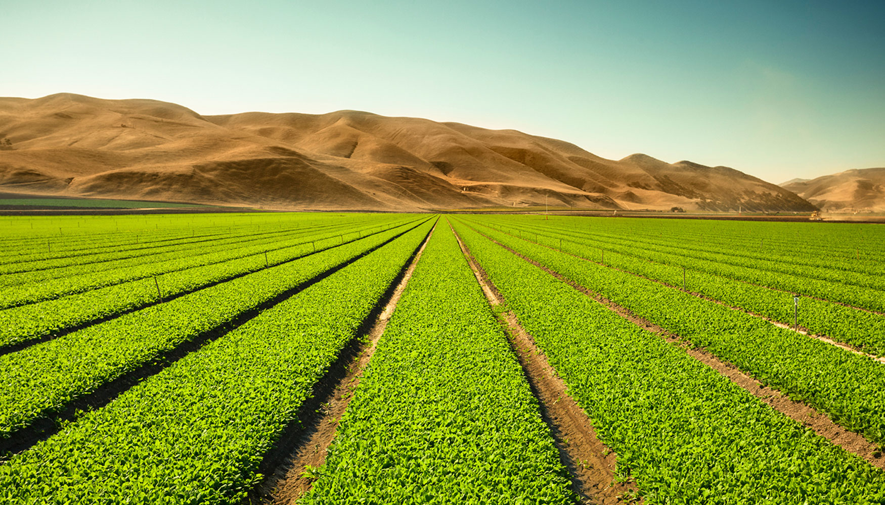 El tour visitar exhibiciones agrcolas y eventos especiales de los clientes en unos 18 pases europeos