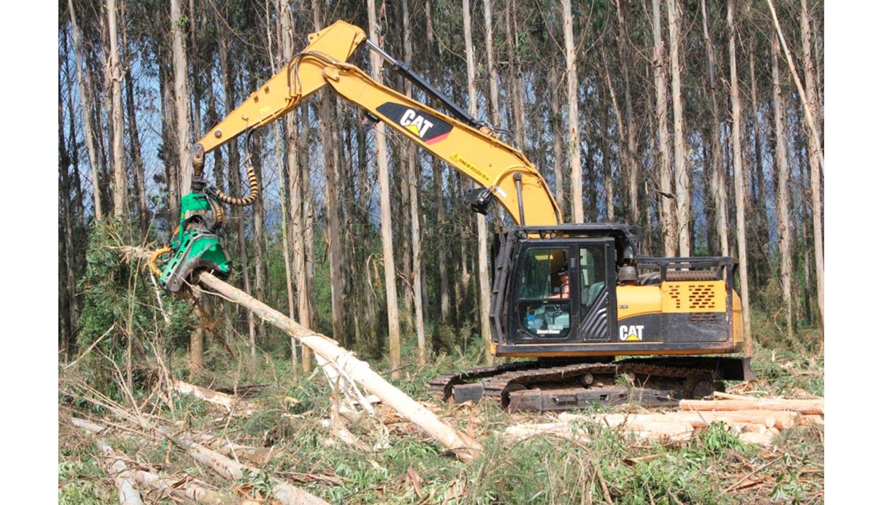 Excavadora Cat en tareas forestales