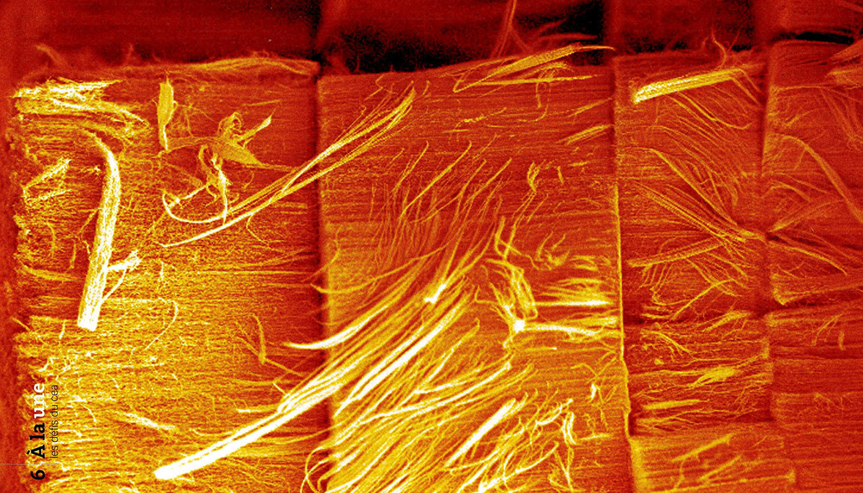 Los nanotubos de carbono dan porosidad a la nanopartcula creciendo desde abajo formando capas