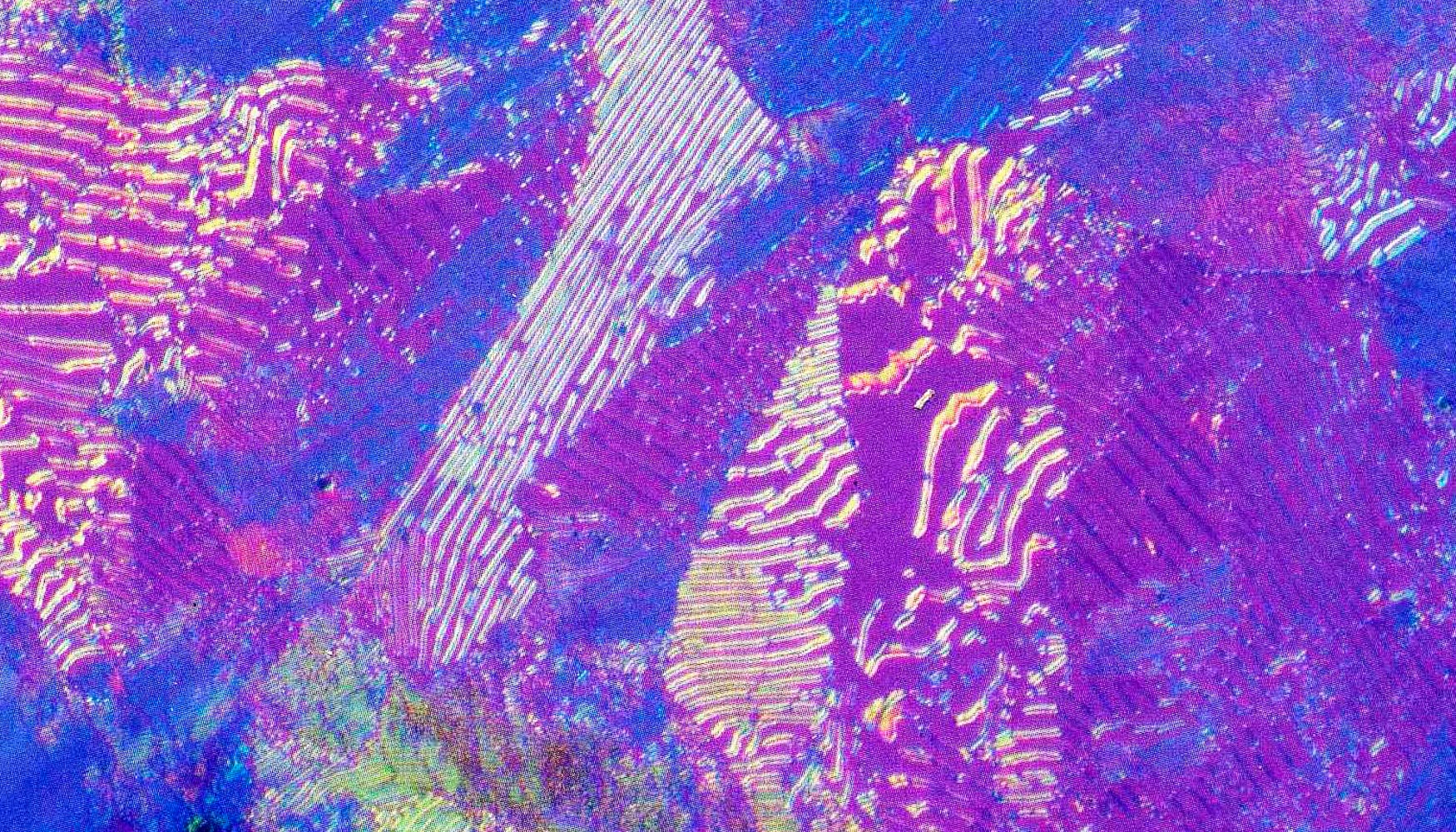 Micrografa de microscopio explorador de acero con algo de carbono, con capas alternadas de cementita y ferrita...