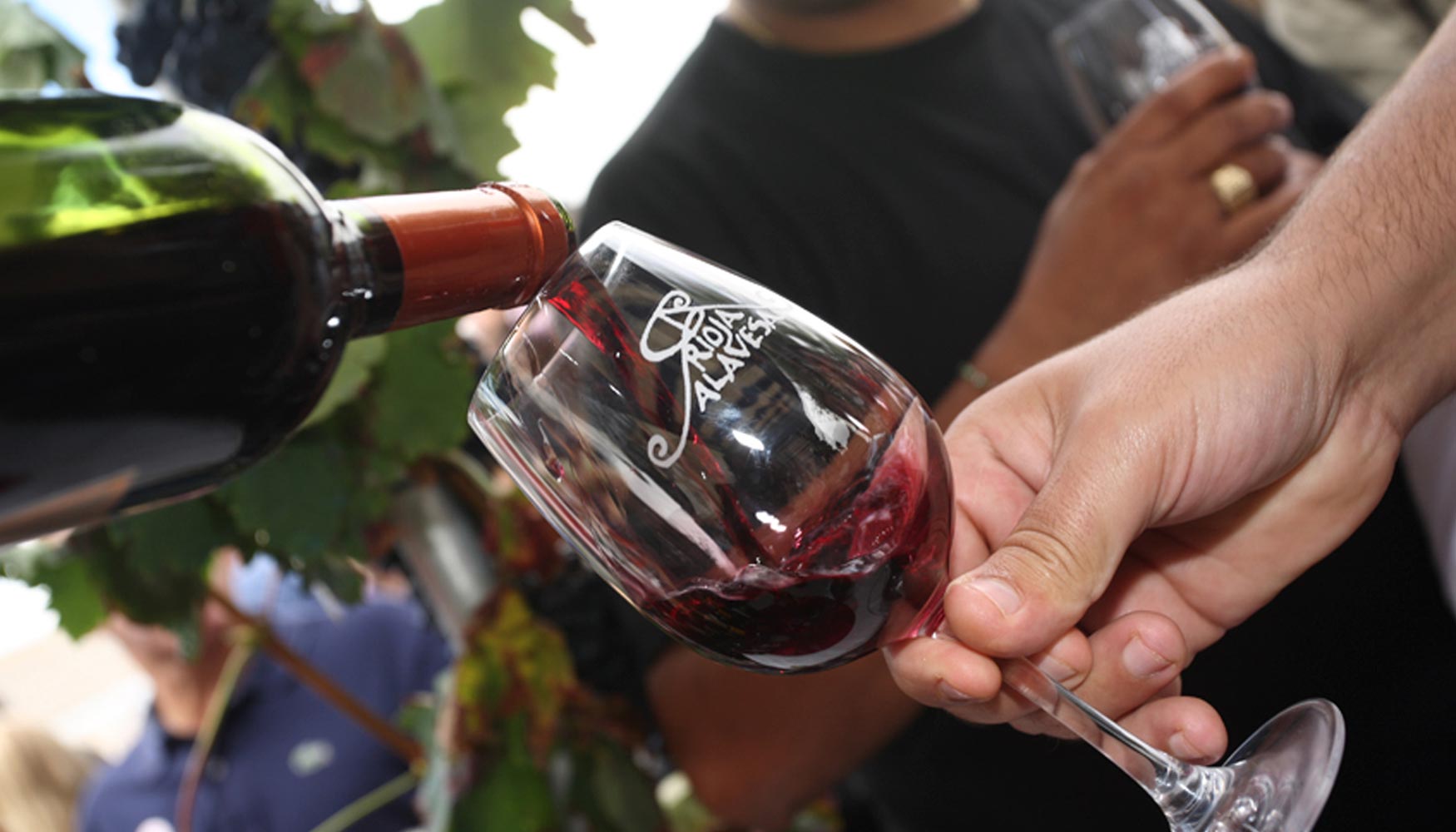 Остановилось вино. Rioja Alavesa вино. Винный туризм. Вино на улице. Мексиканское вино.