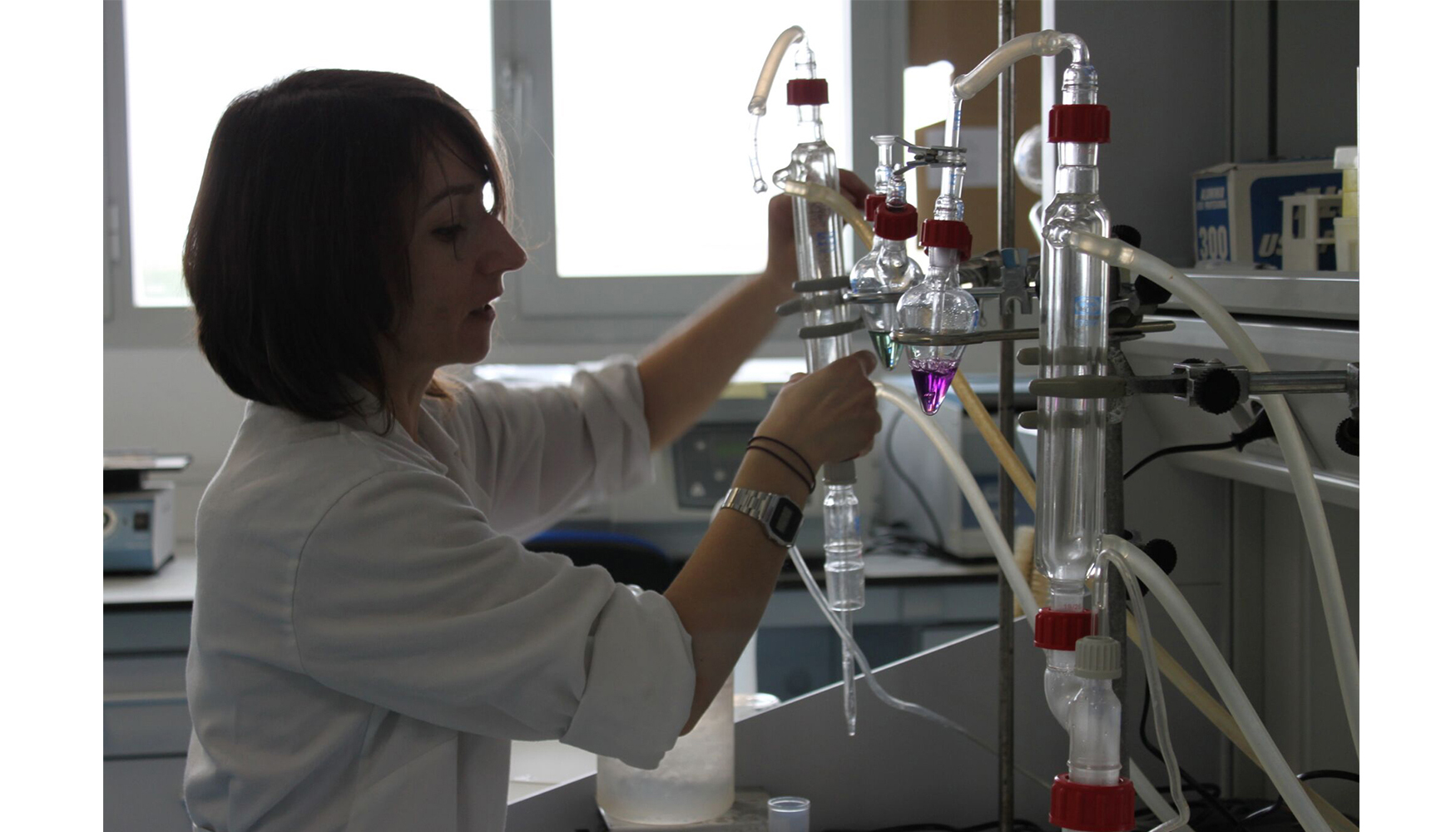 Investigadora en el laboratorio. Foto: Fundacin Descubre