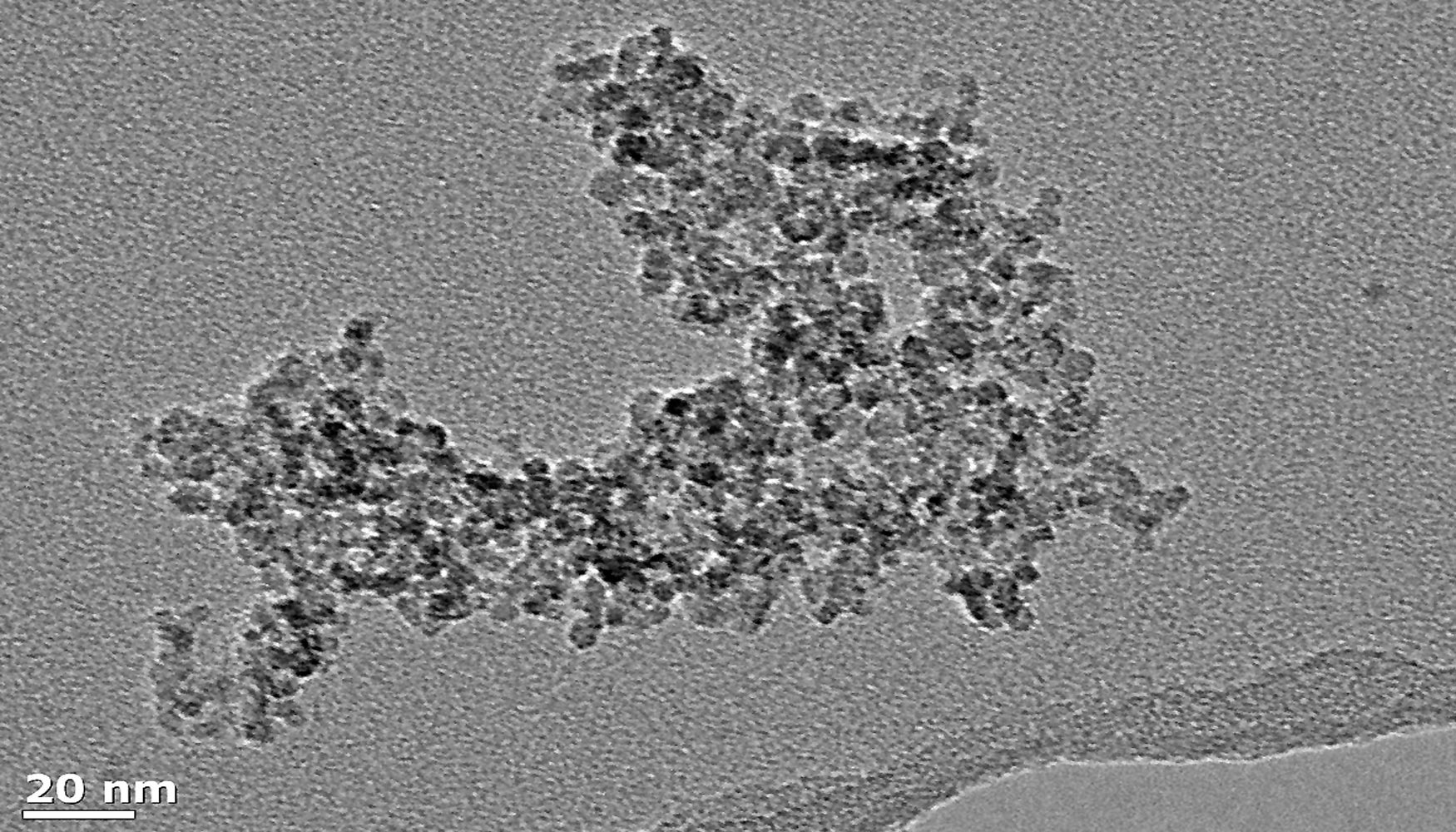 Nanopartculas de xido de titanio vistas al microscopio electrnico de barrido