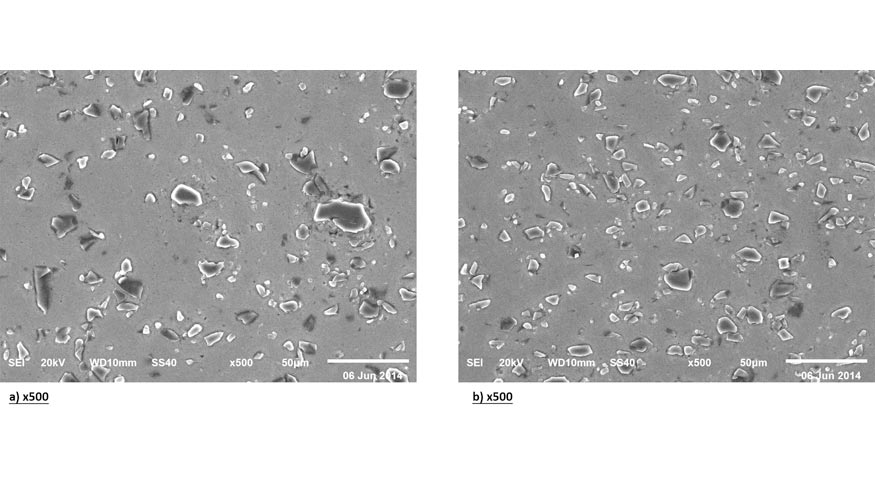 Fig. 5. Micrografas SEM del MB: a) superficie y b) seccin transversal