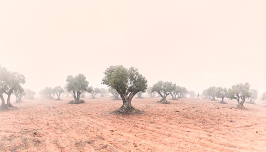 1 premio: Jos Ramn Luna de La Osa, de Tarancn (Cuenca)