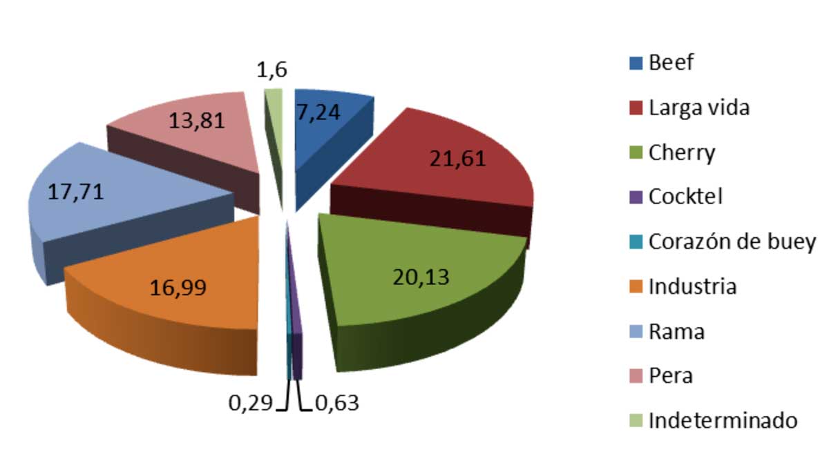 Grfica 1. Porcentajes de tipos de tomate producidos en semilleros andaluces durante 2014