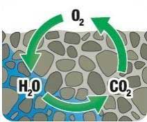 Figura 3.Un mayor flujo del agua permite una mayor renovacin del aire en el espacio poroso del suelo