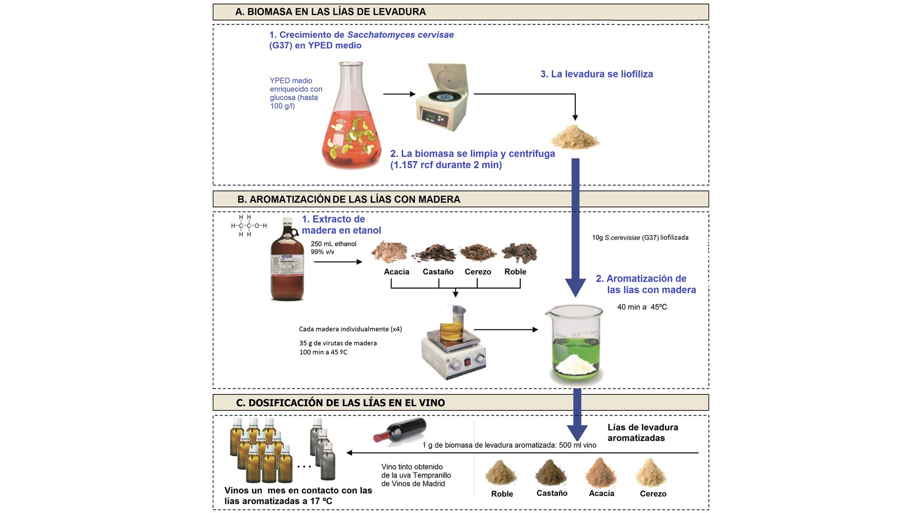 Figura 1. Metodologa esperimental estudiada