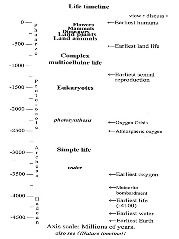 Antes de la fotosntesis (2.300 millones de aos) ya existan seres vivos microscpicos, microbios procariotas (3.000 millones de aos)...