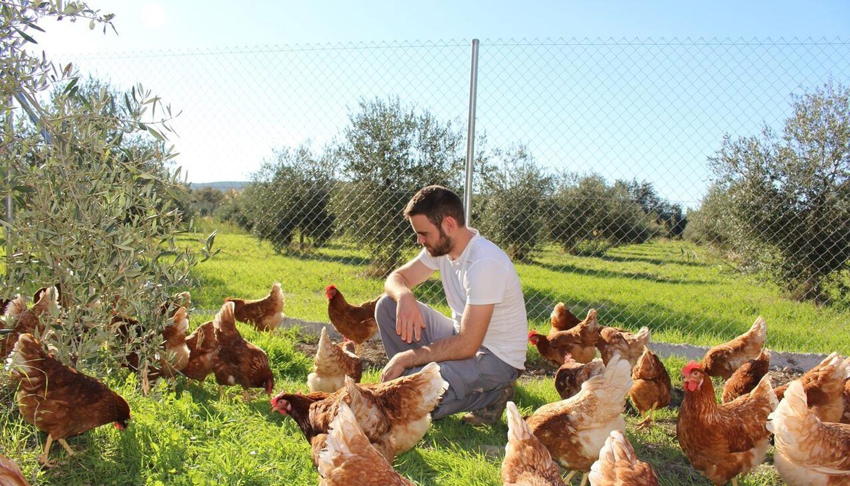 El joven agricultor Manuel Lpez-Toribio Moreno junto a sus gallinas