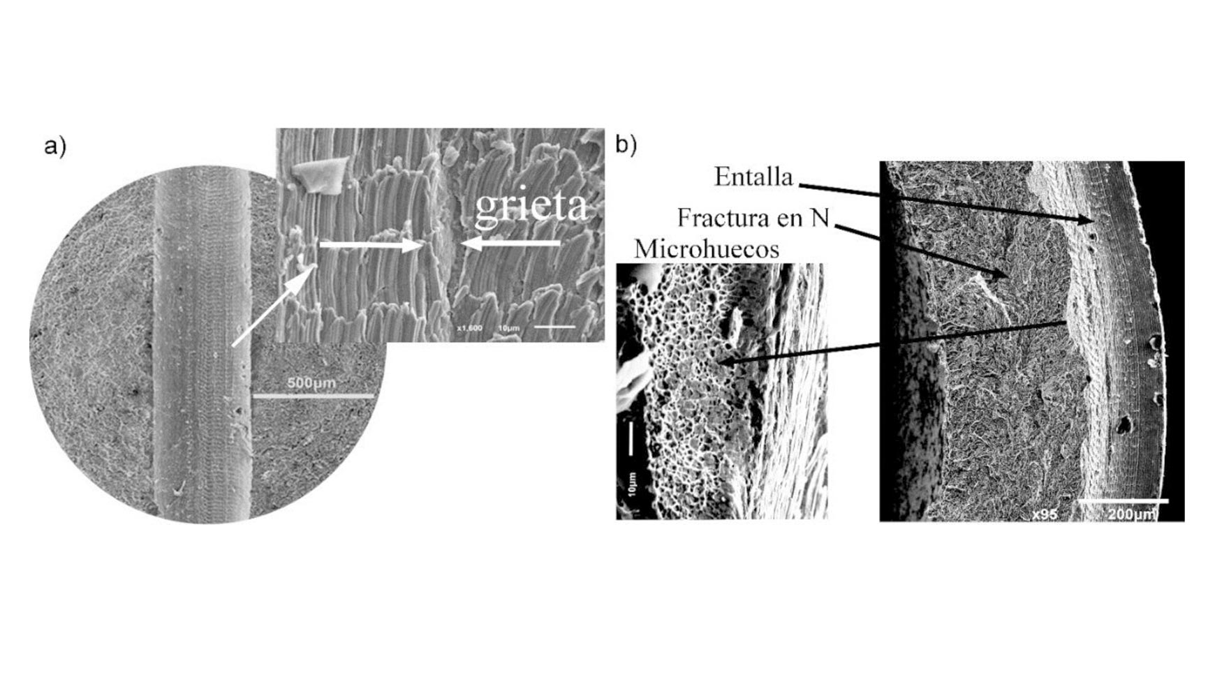 Figura 8. (a) Detalle de una grieta en la superficie de la entalla. (b) Probeta rota en nitrgeno lquido por su seccin media...