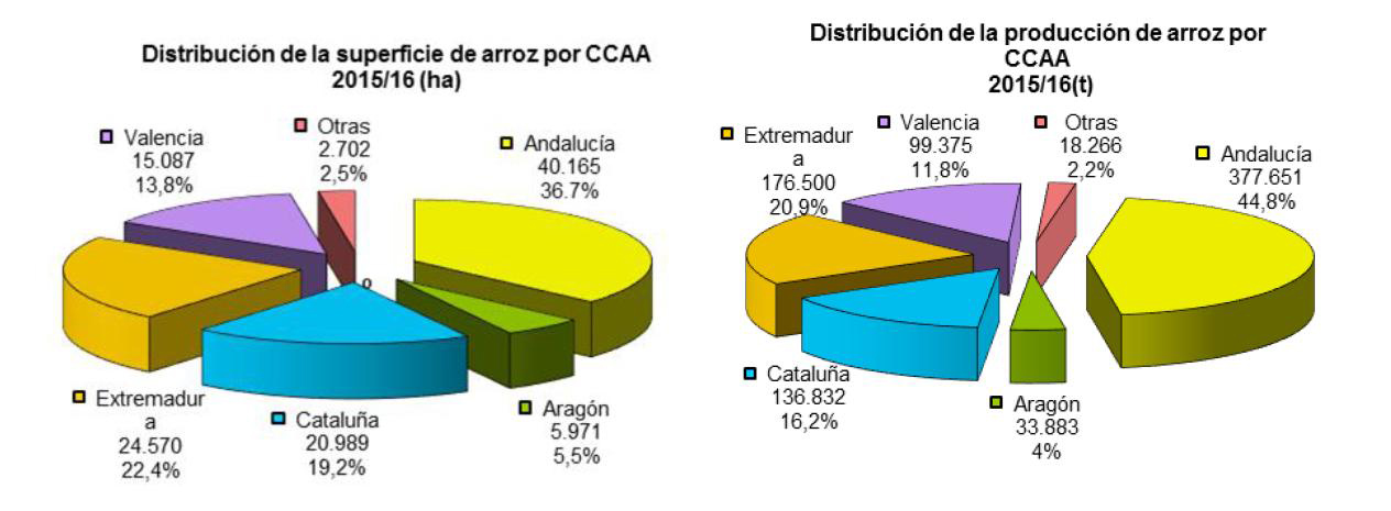 Distribucin de la superficie y produccion de arroz en Espaa por CC AA. Datos S.G.T (noviembre 2015)