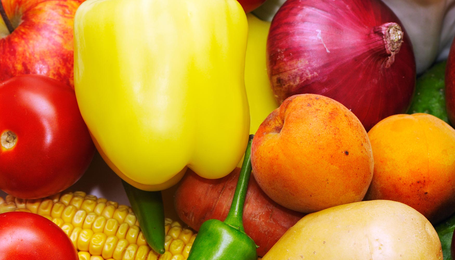 Las hortalizas y las frutas son los grupos que ms han contribuido al aumento de las exportaciones totales en 2015...