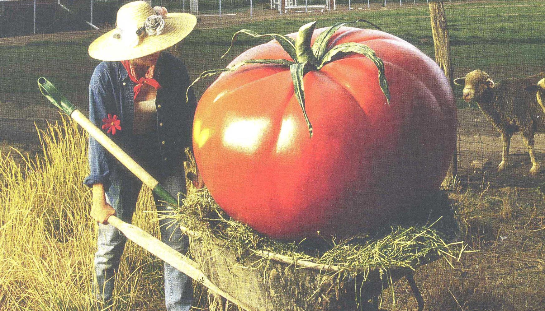 Los agricultores no pueden usar las desaladoras, su coste es excesivo para el campo