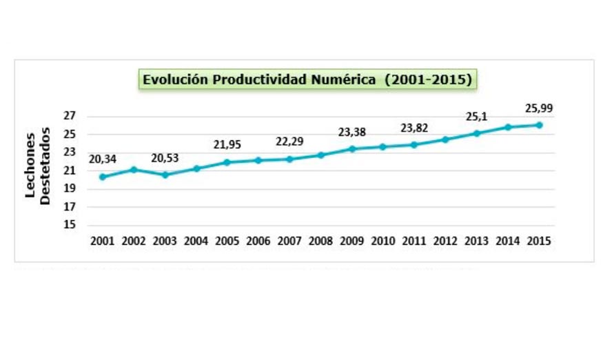 Evolucin de la Productividad Numrica (2001-2015)