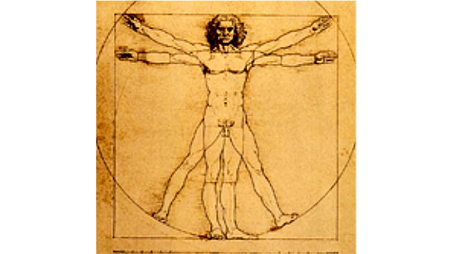 Estudio del cuerpo humano, Leonardo da Vinci. Fuente: Google