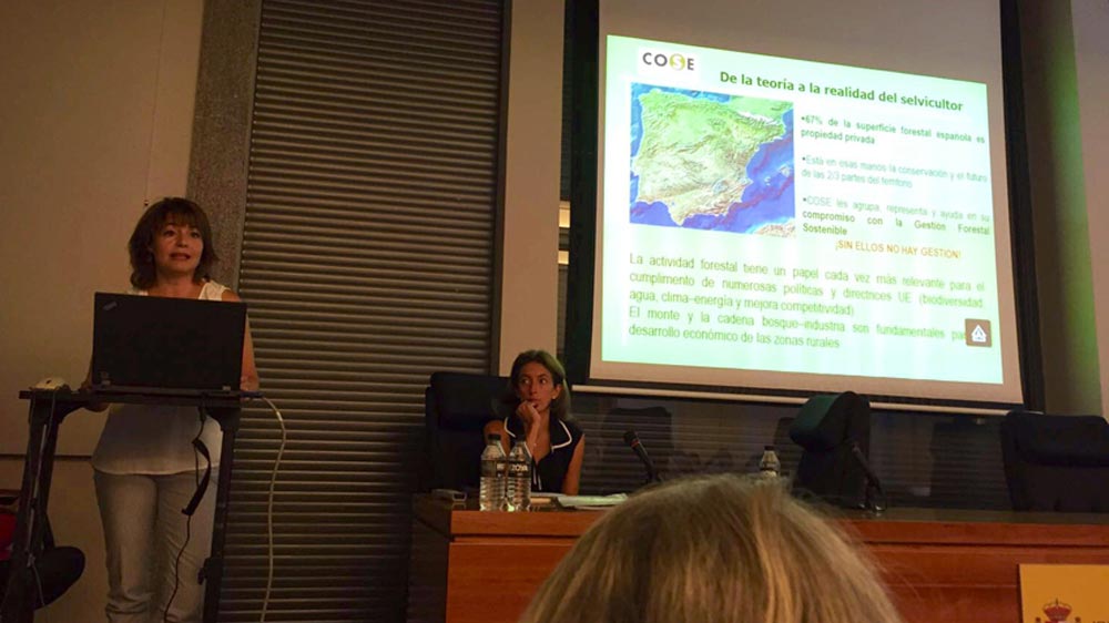 XXXI Foro Inia sobre Indicadores de Sostenibilidad en el Ambito Forestal
