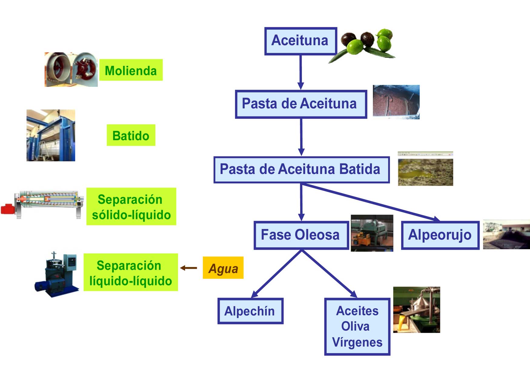 Figura 1. Diagrama simplificado del proceso de elaboracin de Aceites de Oliva Vrgenes