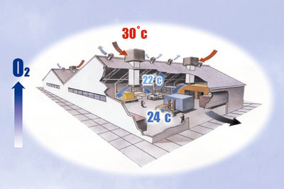 Example of operation of equipment of Breezair bioclimatizacin factory