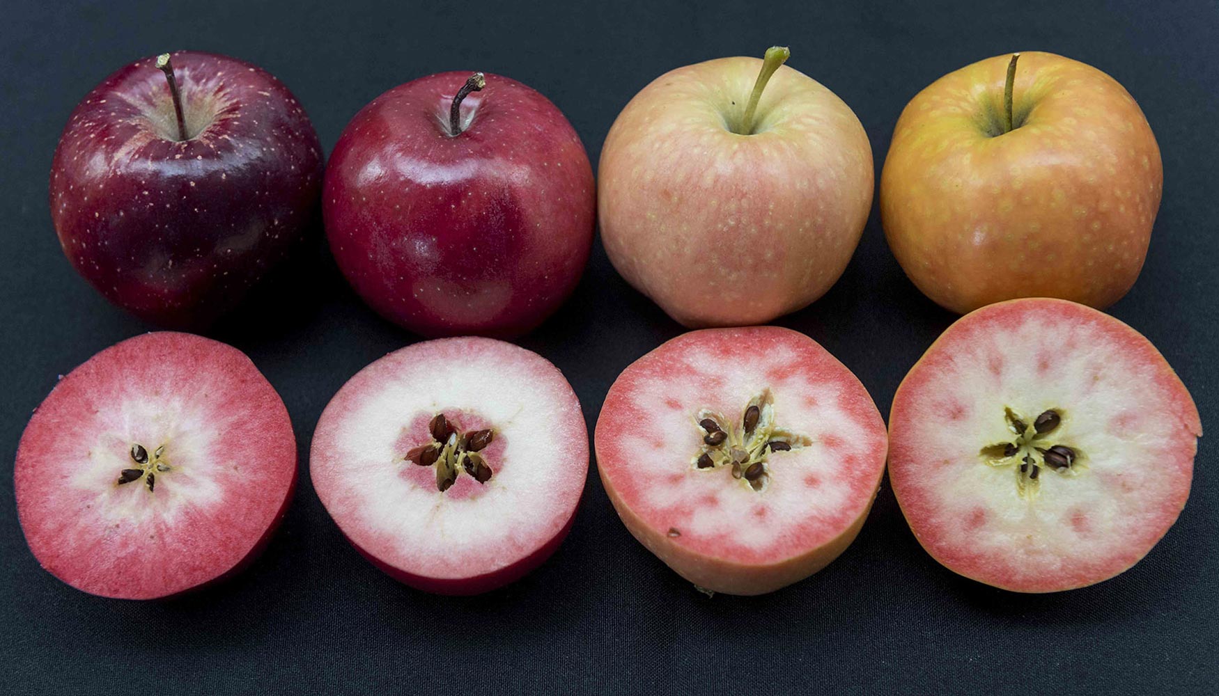 Variedades de manzanas de pulpa roja