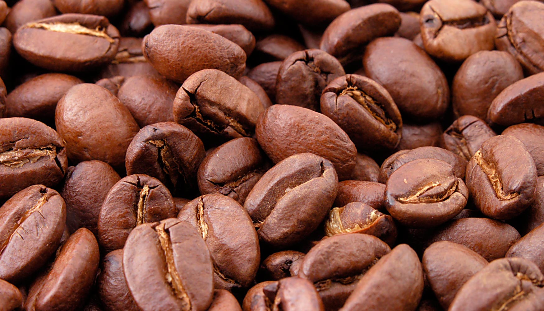 Latinoamrica realiza el 39% de las exportaciones mundiales de caf