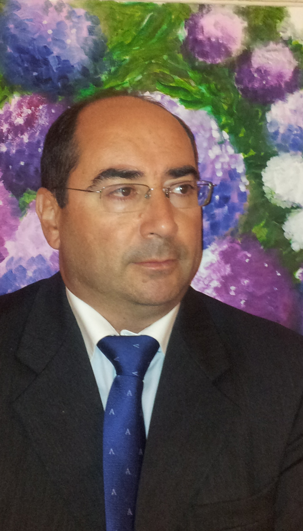 Luis San Segundo Gonzlez, director financiero de Degima