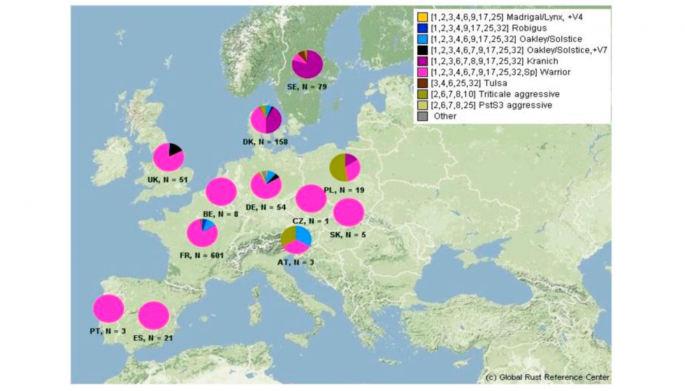 Grfico 3. Frecuencia de razas de roya amarilla en Europa 2011-2015