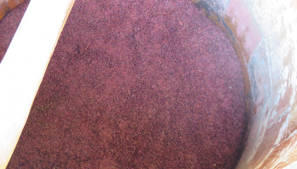 El interior de la tina aguarda la fermentacin de la uva