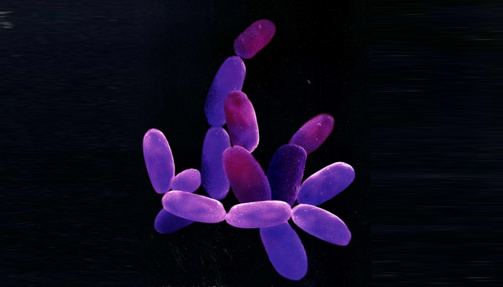 Las bacterias del agua sucia son eliminadas con la radiacin ultravioleta
