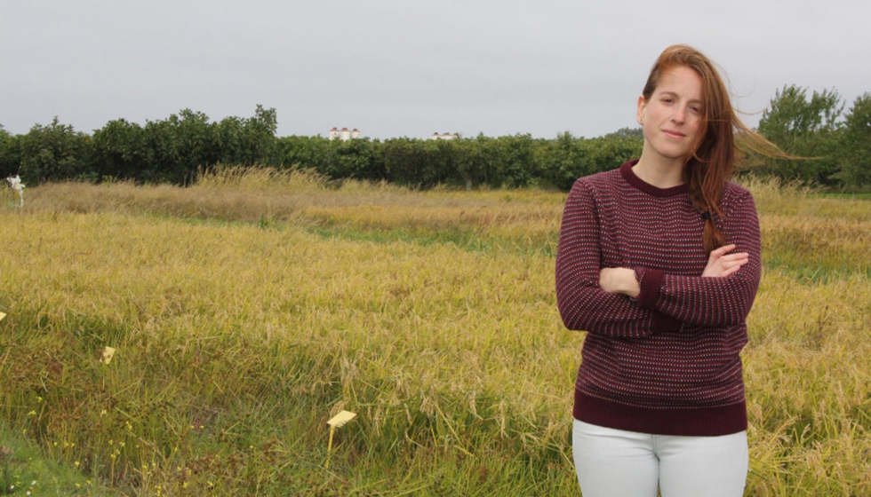 Ftima Mendoza en un campo de ensayo de arroz de Cicytex