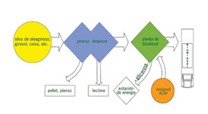 Diagrama del flujo